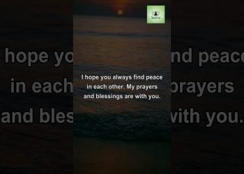 The Sweet Chaos of Wedding Planning #shorts  #weddingplanning  #wedding  #QuotesToSend #sleepvoid