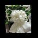 CHAIR DECORATION IDEAS FOR YOUR WEDDING TABLE SKIRTING TUTORIAL