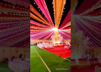Pandal decoration for Wedding Ceremony | #shorts #wedding