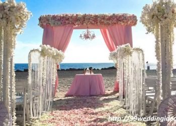 Beach Wedding Ideas – 99WeddingIdeas.com