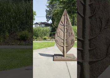 Fleetwood Park, Surrey, BC | Intimate Wedding #shorts