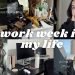 work week in my life: quitting my big 4 job? + wedding planning, hair/makeup trial, moving into office