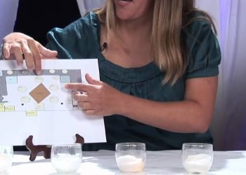 Pre-Wedding Planning : The right way to Make a Seating Plan For Your Wedding Dinner