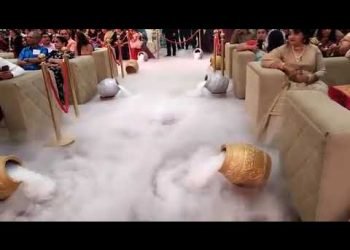 Neer Event Management Company: Wedding Theme Entry | Bride/Groom Entrance | Best Wedding Planner