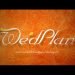 Wedding Planning Software Online – WedPlan for Efficient Marriage Management