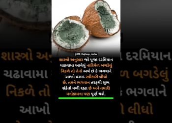 શાસ્ત્રો અનુસાર જો પૂજા દરમિયાન ચઢાવામાં…!????✅#motivation #fact #shortfeed #viral #mr #shorts