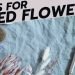 13 Ideas How To Use Dried Flowers