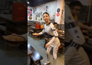 A Realistic Chinese Robot Waiter Enhances Dining Experience in a Chongqing Hotpot Restaurant