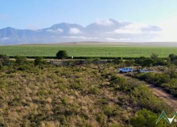 Farm For Sale