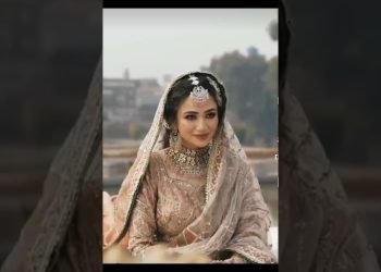ShoaibMalik & Sanajaved official Walima video #shoaibmalik #sanajaved #cricket #viral #love #shorts