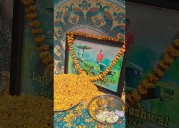 Nishu Deshwal HR-PB Tractor भैया का Favourite tractor #shorts