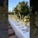 Elegant Wedding Dining Decor: Creating the Perfect Ambiance for Your Celebration!