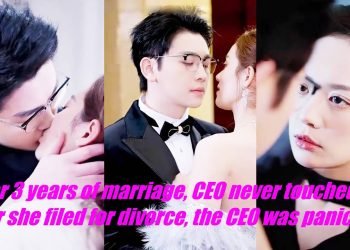 After 3 years of marriage, CEO never touched her. After she filed for divorce, the CEO was panicked