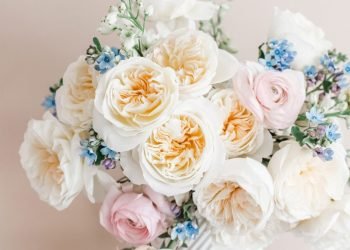 David Austin Launches Three Latest Wedding Roses