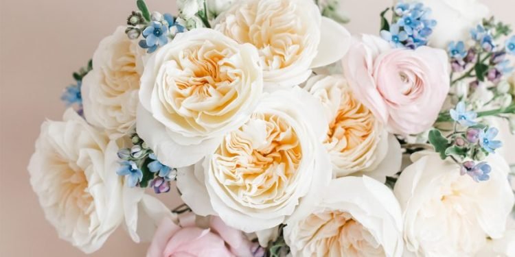 David Austin Launches Three Latest Wedding Roses