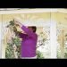 Wedding Ceremony Decorations : Find out how to Decorate a Gazebo for a Wedding