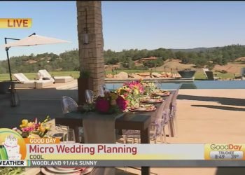 Micro Wedding Planning