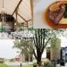 Earth to Table: The Farm (June Wedding Venue) | Hamilton, Ontario | 100 guests & food review