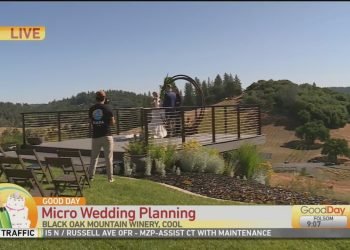 Micro Wedding Planning Pt. 2