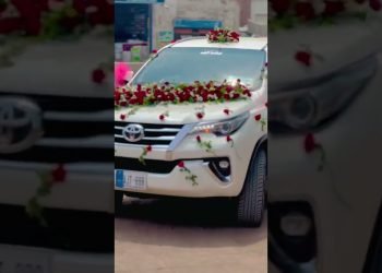 wedding Automotive decorations fresh Flowers decorations ????????????