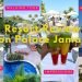 Moon Palace Jamaica ???????? Hotel Review| Wedding Venues, Tour, Impressions & Planning Suggestions!