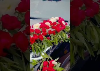 Wedding Automotive decorations fresh Flowers decorations ????????????