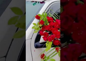 Wedding Automotive decorations fresh Flowers decorations ????????????