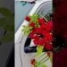 Wedding Automotive decorations fresh Flowers decorations ????????????