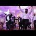 Omega Psi Phi Wedding Reception Song and Hop to Atomic Dog. {Show us How-To Get Party Began}