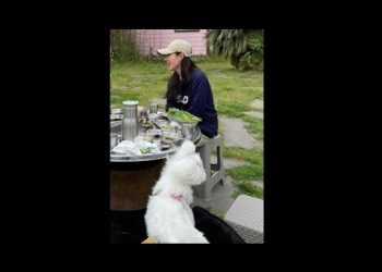 Hyun Bin Son Ye Jin Wedding and Marriage Planning . BinJin, HyunBin and SonYeJin