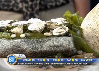 Suggestions & Tricks For Planning An Intimate Wedding: