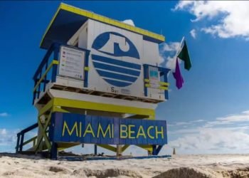 All You Need For A Wedding In Miami | Miami Beach Weddings, Venues, & Hotel