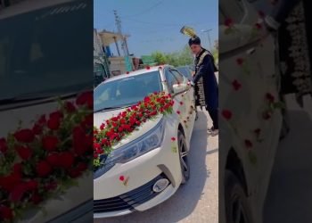 wedding Automotive decorations fresh Flowers decorations ????