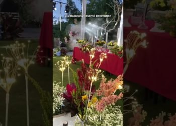 Recommendations For Outdoor Wedding Venues In Yogyakarta! #foryou #wedding #venue #outdoors