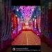 #decor #decoration #design #event #flowers #light #live #patna #stage #wedding #stage #photography