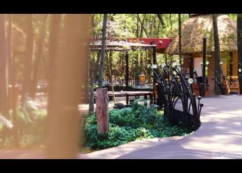 Galagos Country Estate Wedding Venue in Pretoria