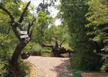 Exploring the Zambezi Point Wedding Venue, Pretoria✔