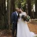 Most Amazing Wedding Venue!! Island Farm Redwoods