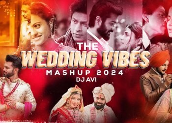 The Wedding Vibes Mashup 2024 | Dj Avi | Wedding Special Songs