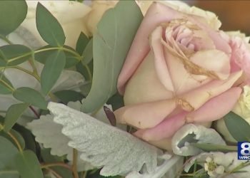 Couples starting planning wedding as state restrictions change