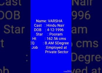 GROOM WANTED#Nair Girl #Wedding planning #service #shorts