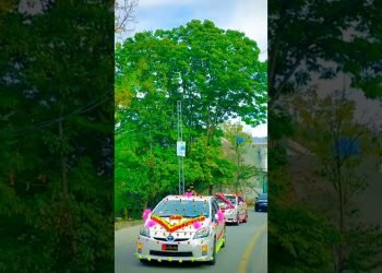 #automobile #decorations #wedding day