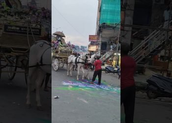 #yatra#savan#kawariya#lucknow#uttarpradesh#up#shiv#mahadev#shorts#reels#trending#independenceday#yt