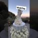 wedding vlogs… best wedding decorations #music #gospelmusic #love #viral #trendingshorts #trending