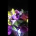 Purple lily, Rose and crocus wedding table centerpiece