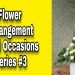 Flower Arrangement for all Occasions/ Centerpiece/Table Top/ Birthday/ Wedding/ Anniversary/DIY