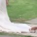 Cat plays with wedding dress… as she walks down the aisle