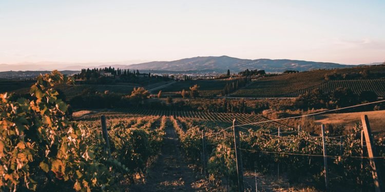 Elegante Weddings in Tuscany: Tour of Toscana