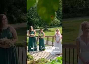 Top 5 Wedding Venues in CT!!! #shorts