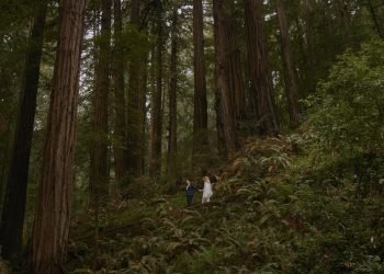 Intimate Wedding in Muir Woods, CA | Celebration of Love, Family, and Nature | Anna + Devin